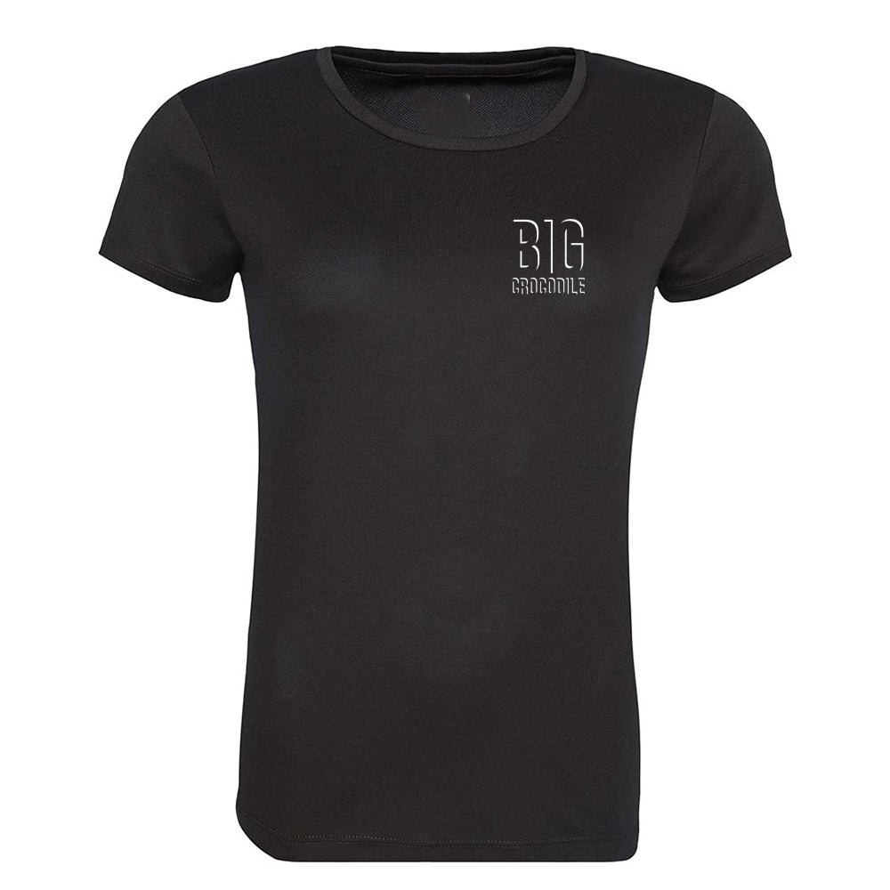 SALE ITEM - Shadow Logo Sports T Shirt - ladies cut