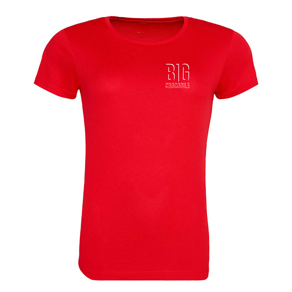 SALE ITEM - Shadow Logo Sports T Shirt - ladies cut
