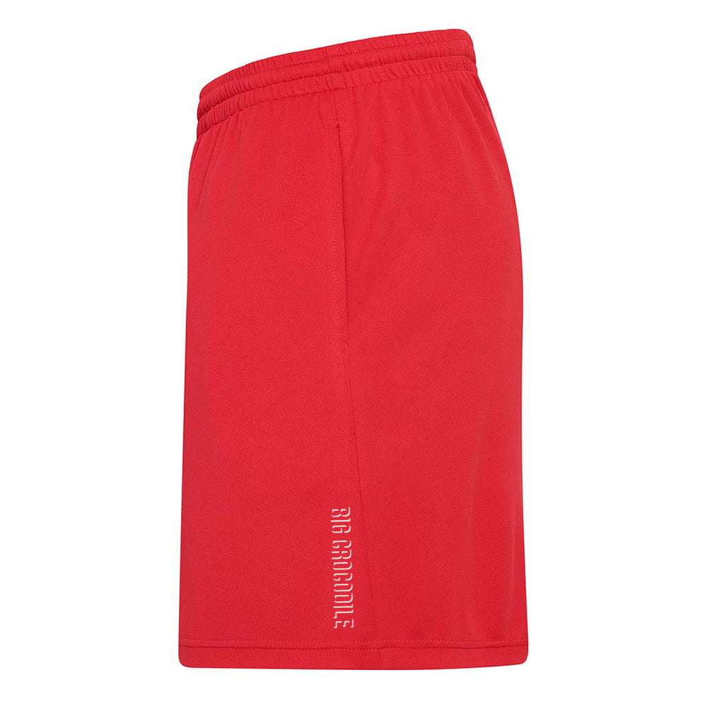 Mens gym shorts
